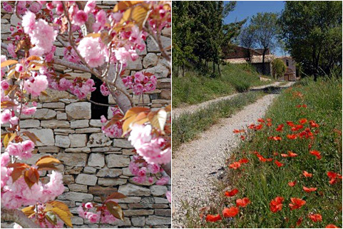 gite de charme haute provence