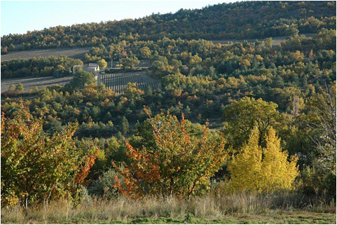 maison d'hotes de charme luberon