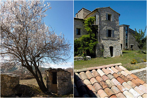 gite de charme piscine luberon